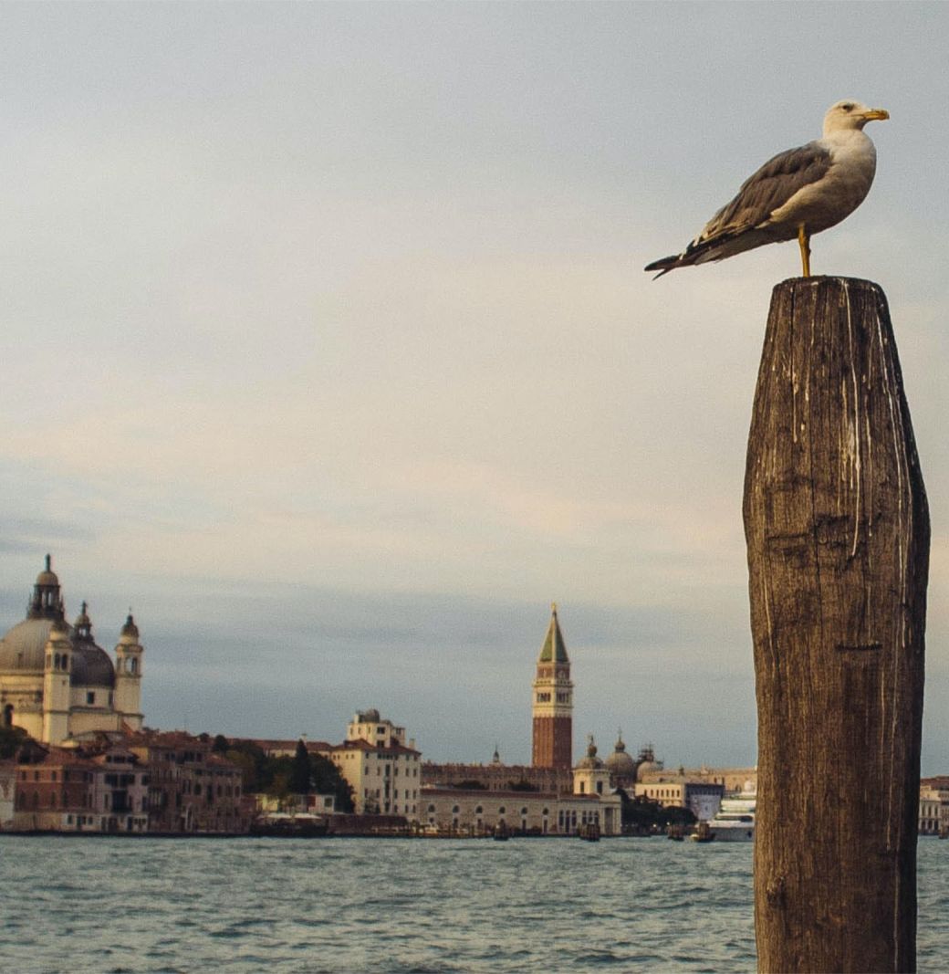 view of St. Mark's from the Giudecca Canal