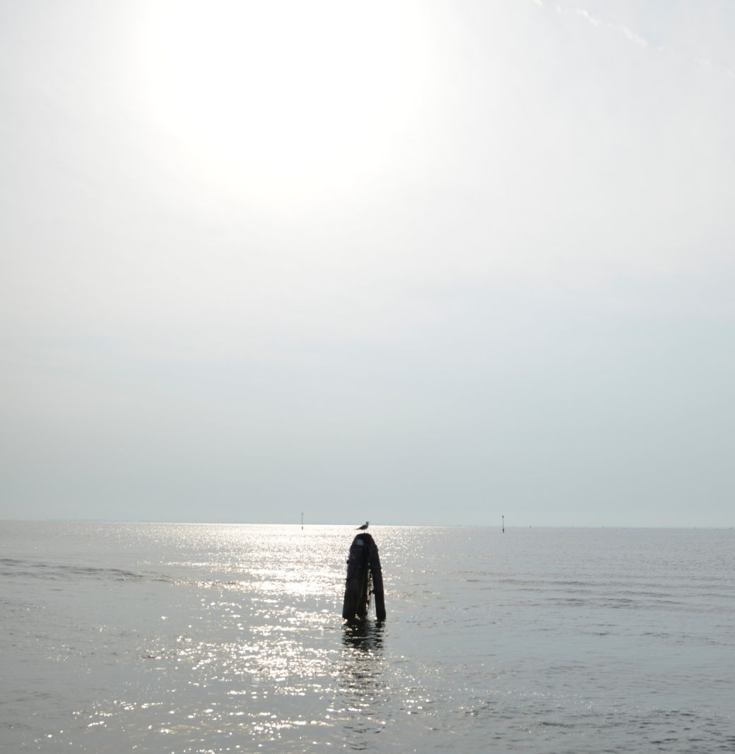 a briccola in the lagoon during navigation